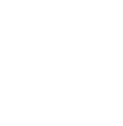 Logotipo_TheWolves-02.png